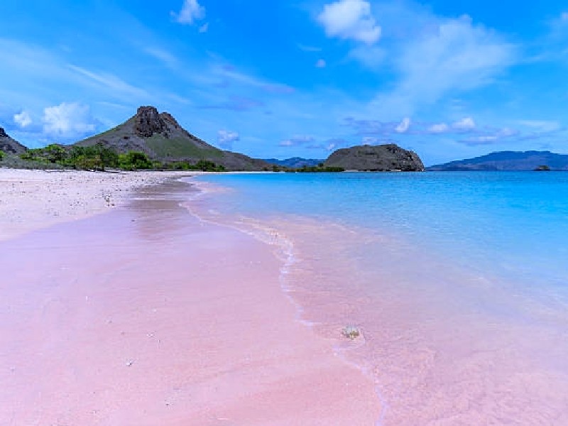 Pink Beach in Komodo National Park